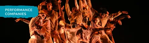 Performance Companies